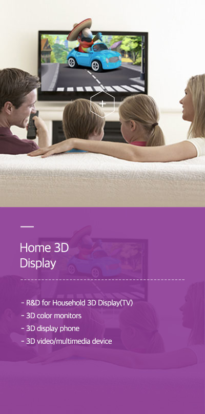 Home 3D Display - R&D for Household 3D Display(TV) - 3D color monitors - 3D display phone - 3D video/multimedia device