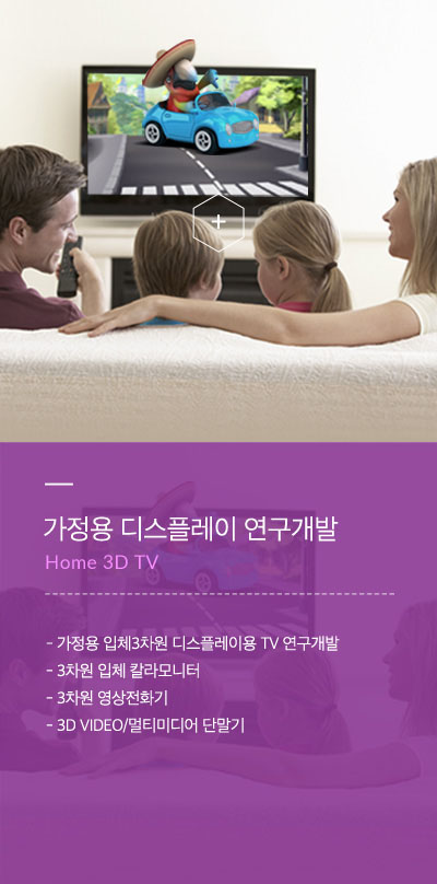 가정용 디스플레이 연구개발(Home 3D TV) - 가정용 입체3차원 디스플레이용 TV 연구개발 - 3차원 입체 칼라모니터 - 3차원 영상전화기 - 3D VIDEO/멀티미디어 단말기